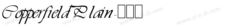 Copperfield Plain字体转换